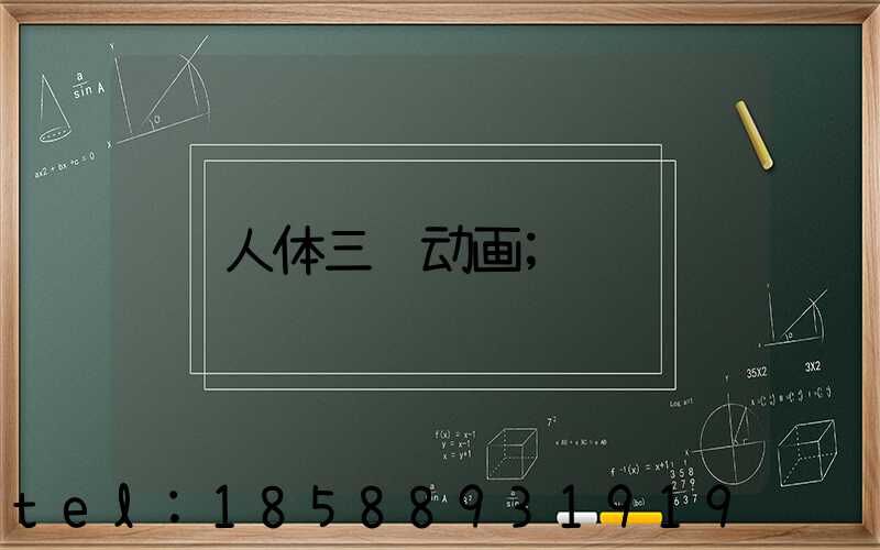 人体三维动画