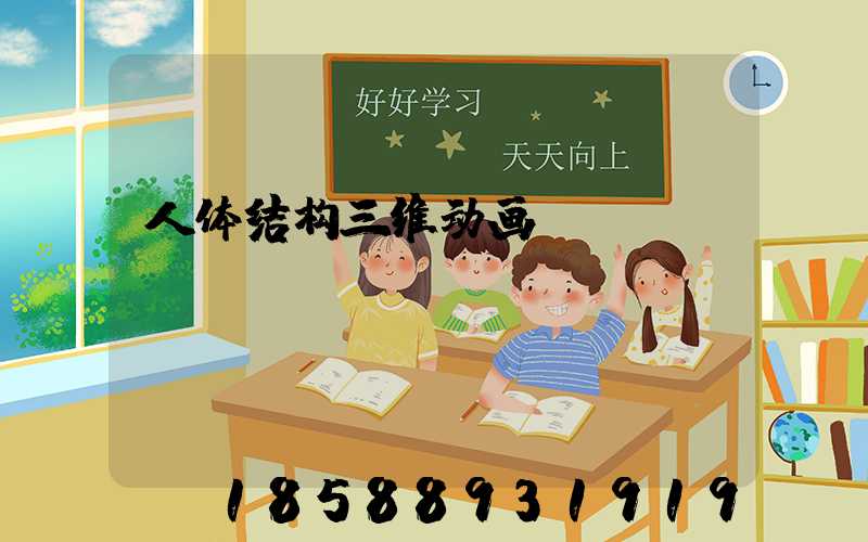 人体结构三维动画