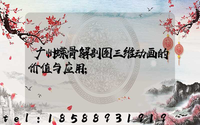 广州蝶骨解剖图三维动画的价值与应用