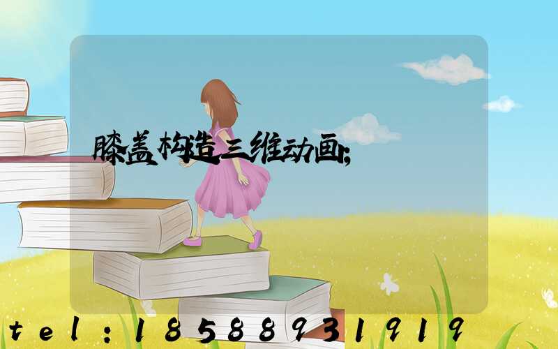 膝盖构造三维动画